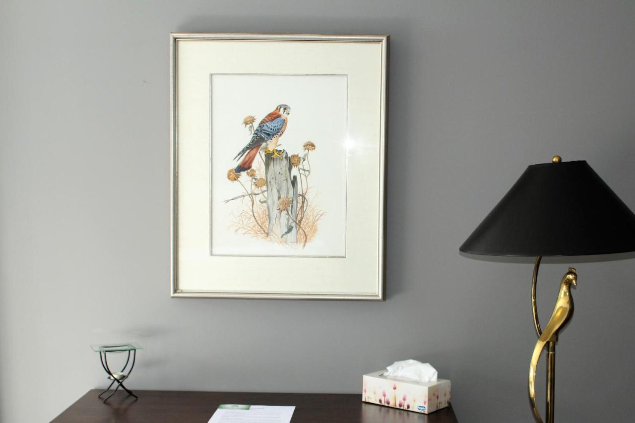 Tailwinds B&B Erin Dış mekan fotoğraf